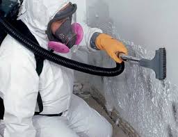 Professional Mold Inspection in Mcleansboro, IL